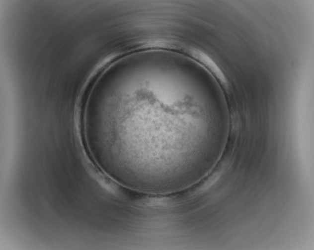 X0000114531043200910191318