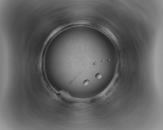 X0000114531044200910191318