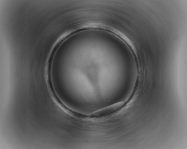 X0000114531045200910191318