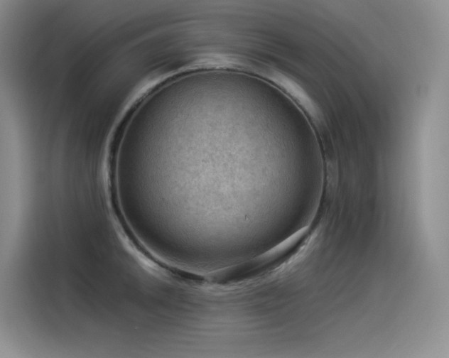 X0000114531046200910191318
