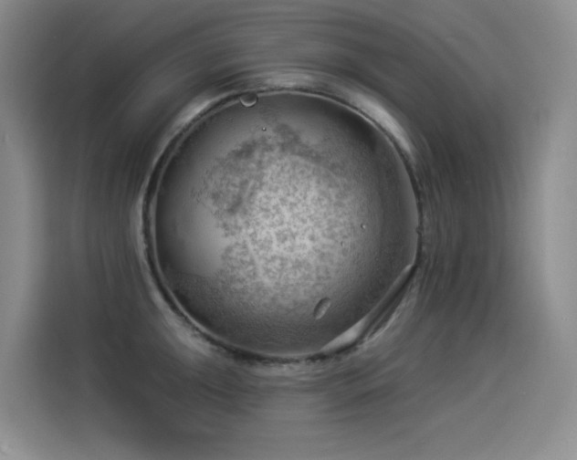 X0000114531047200910191318