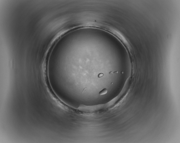 X0000114531048200910191318