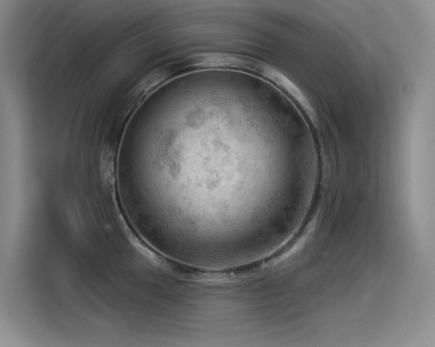 X0000114531049200910191318
