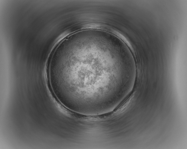 X0000114531050200910191318