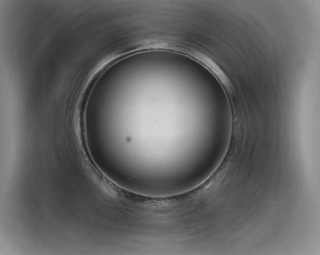 X0000114531051200910191318