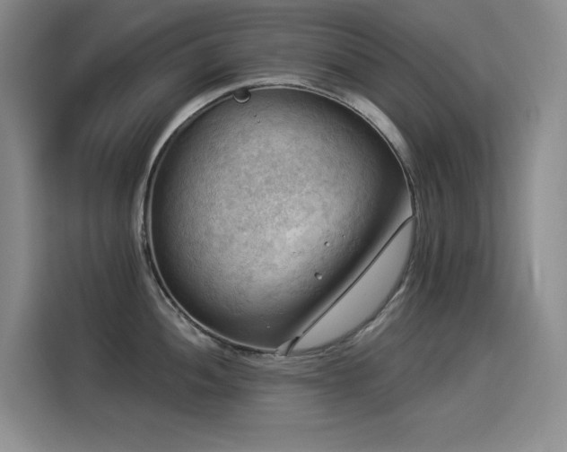 X0000114531052200910191318