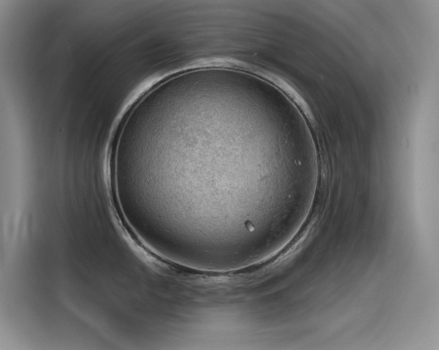X0000114531054200910191318