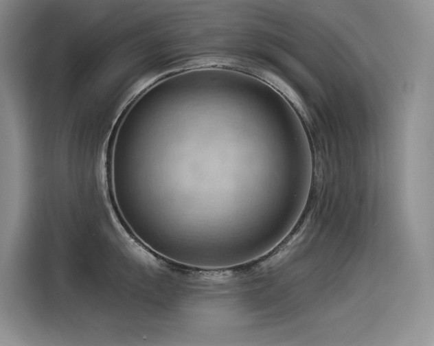 X0000114531055200910191318