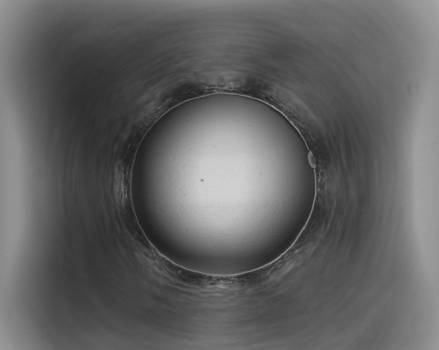 X0000114531058200910191317