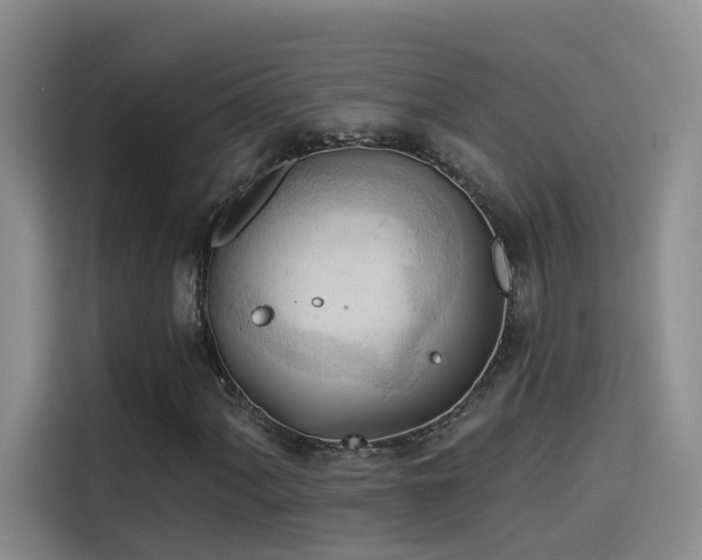 X0000114531060200910191317