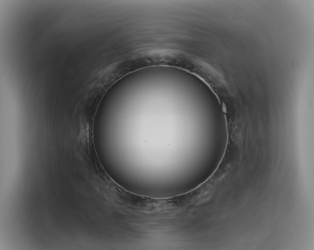 X0000114531061200910191317
