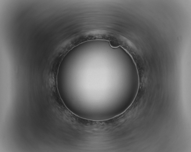 X0000114531062200910191317