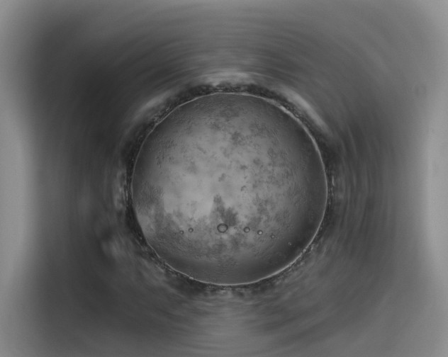 X0000114531063200910191317