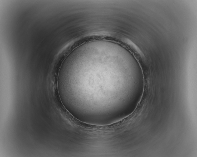 X0000114531064200910191317