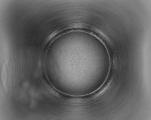 X0000114531065200910191317