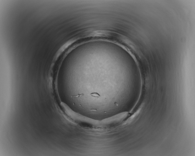 X0000114531066200910191317