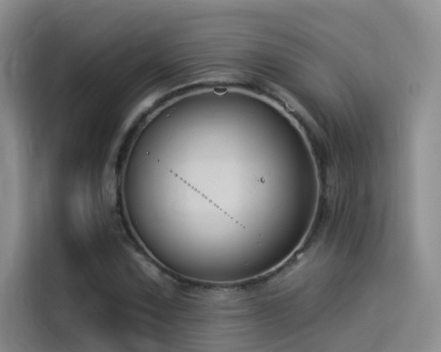 X0000114531067200910191317