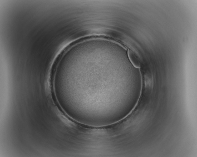 X0000114531068200910191317