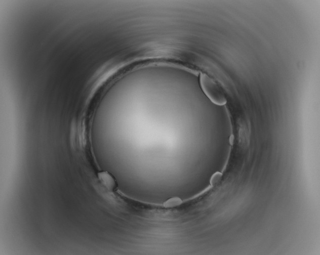 X0000114531069200910191317