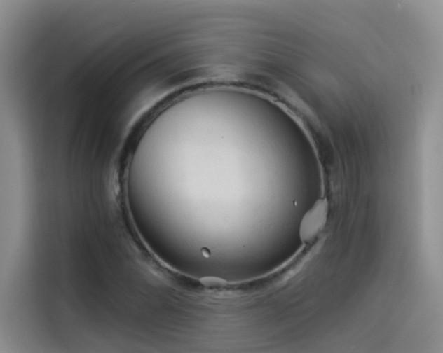 X0000114531070200910191317