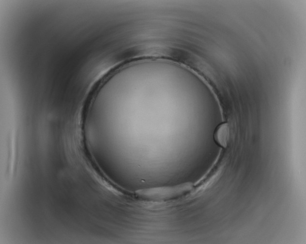 X0000114531071200910191317