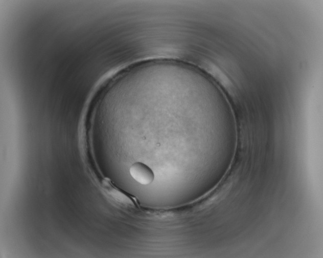 X0000114531072200910191317