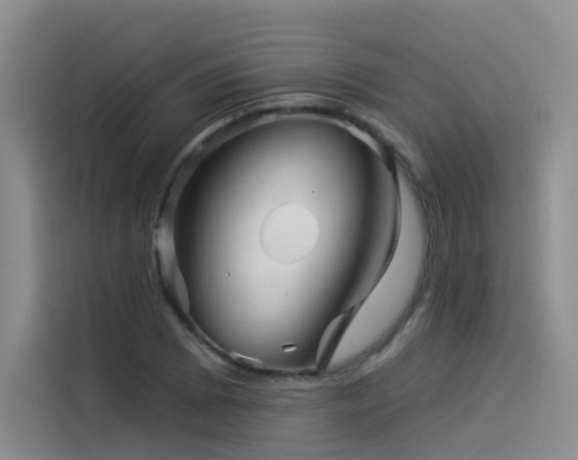 X0000114531073200910191317