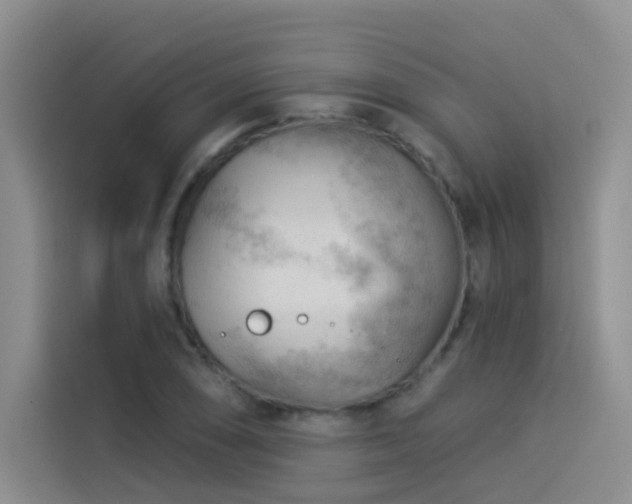 X0000114531074200910191317