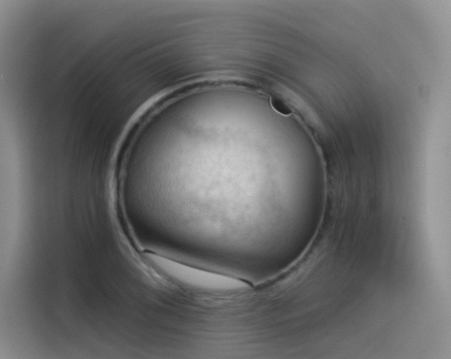 X0000114531076200910191317