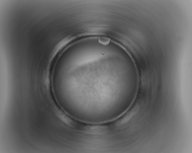 X0000114531077200910191317