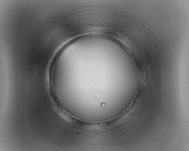 X0000114531078200910191317