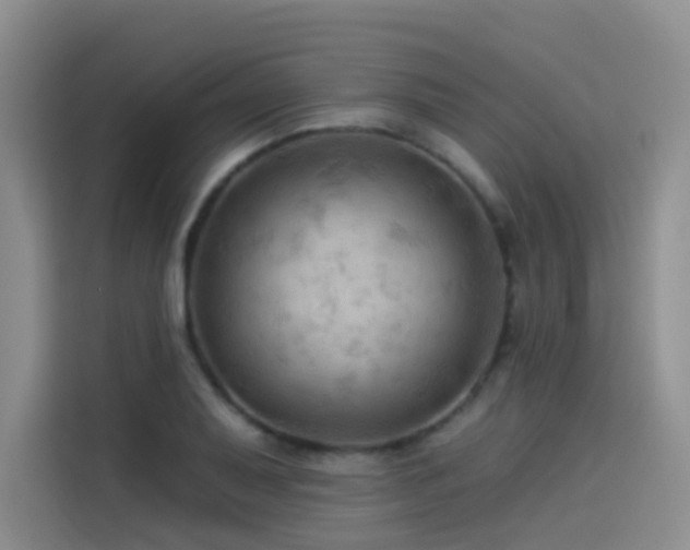 X0000114531079200910191317
