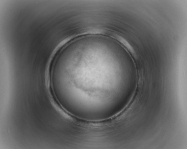X0000114531080200910191317