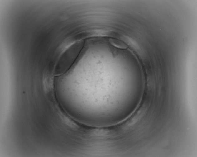 X0000114531081200910191317