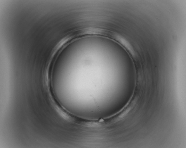 X0000114531082200910191317