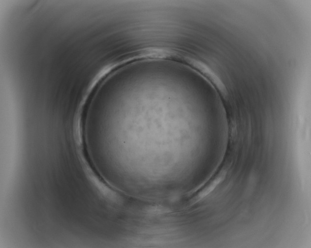 X0000114531083200910191317