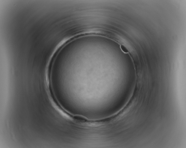 X0000114531084200910191317