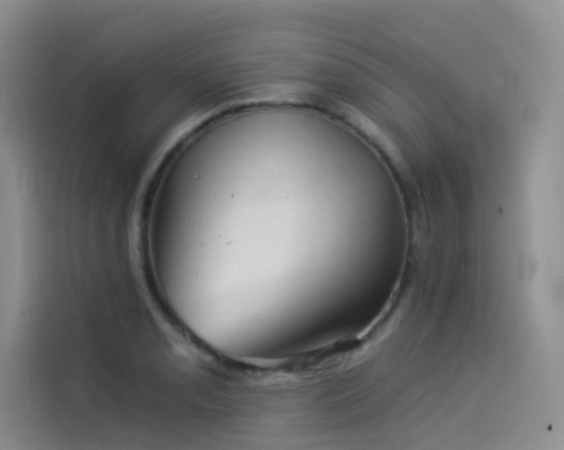 X0000114531085200910191317