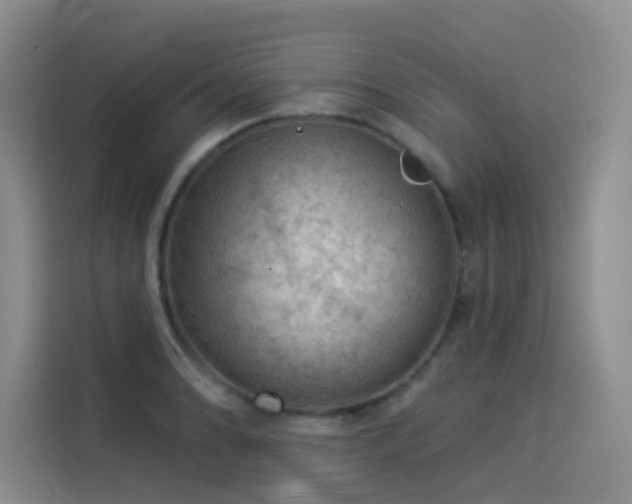 X0000114531086200910191317