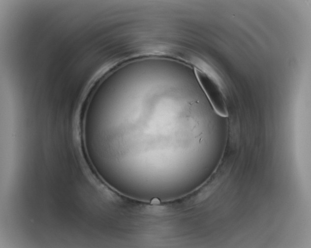 X0000114531088200910191317