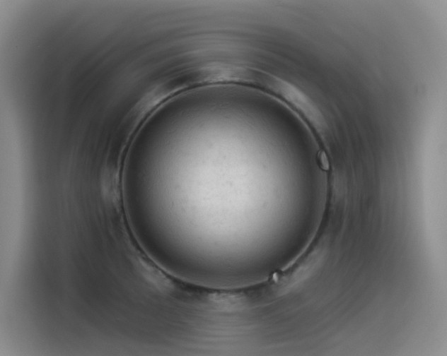 X0000114531089200910191317