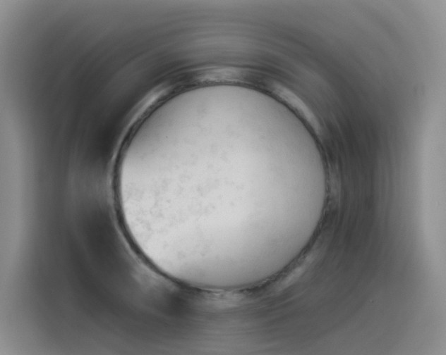 X0000114531090200910191317