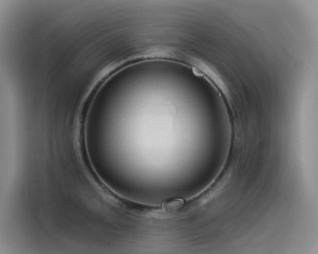 X0000114531093200910191317
