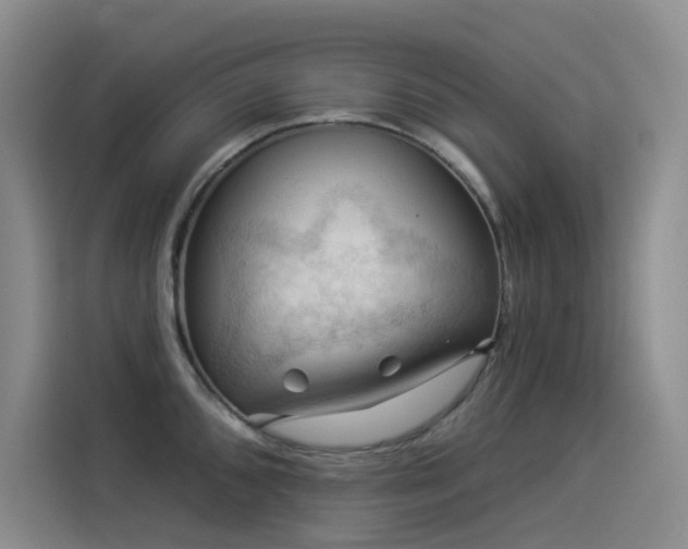 X0000114531096200910191317
