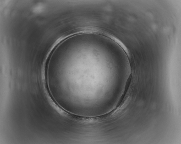 X0000114531099200910191317