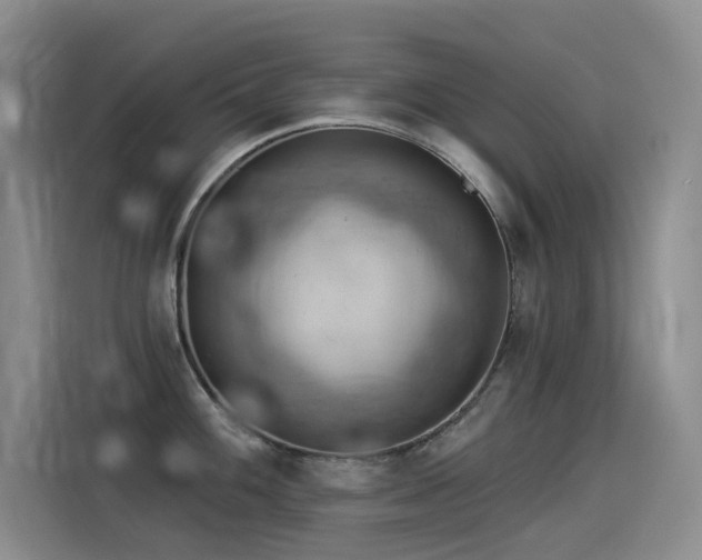 X0000114531100200910191317