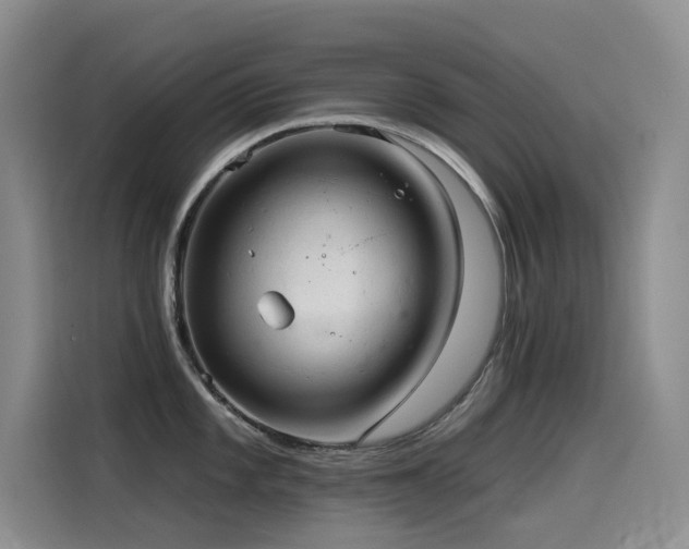 X0000114531101200910191317