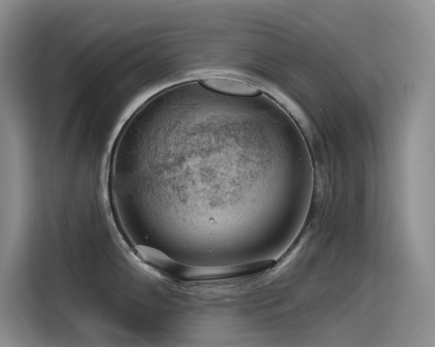 X0000114531102200910191317