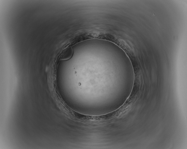 X0000114531105200910191316