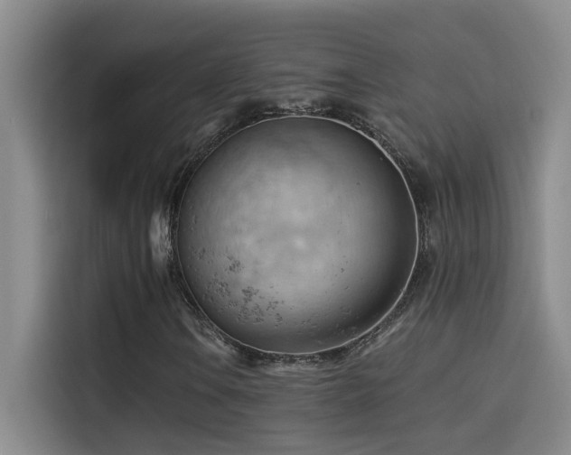 X0000114531106200910191316